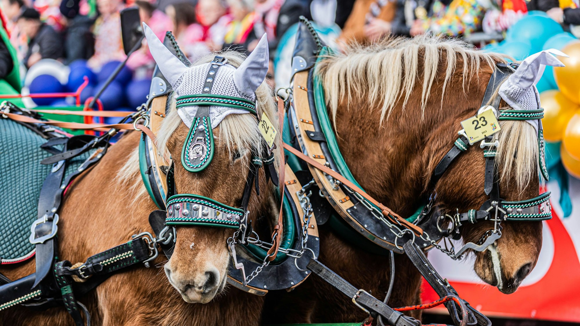 Zwei Pferde im Kölner Rosenmontagszug 2023.