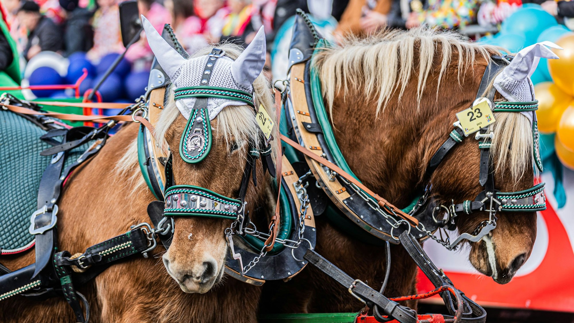 Pferde im Rosenmontagszug