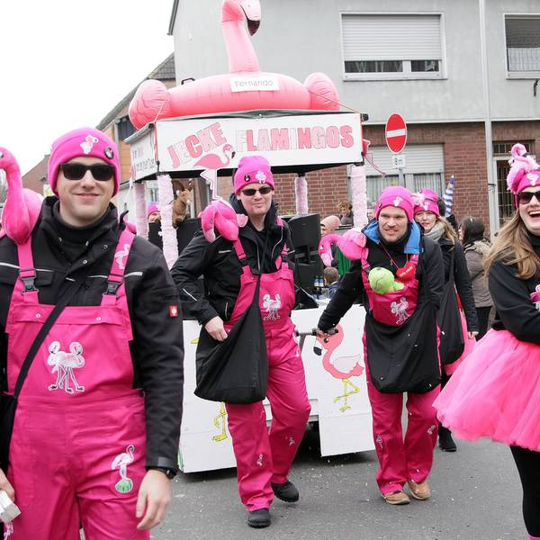 Eine Truppe Flamingos läuft fröhlich im Zug mit.