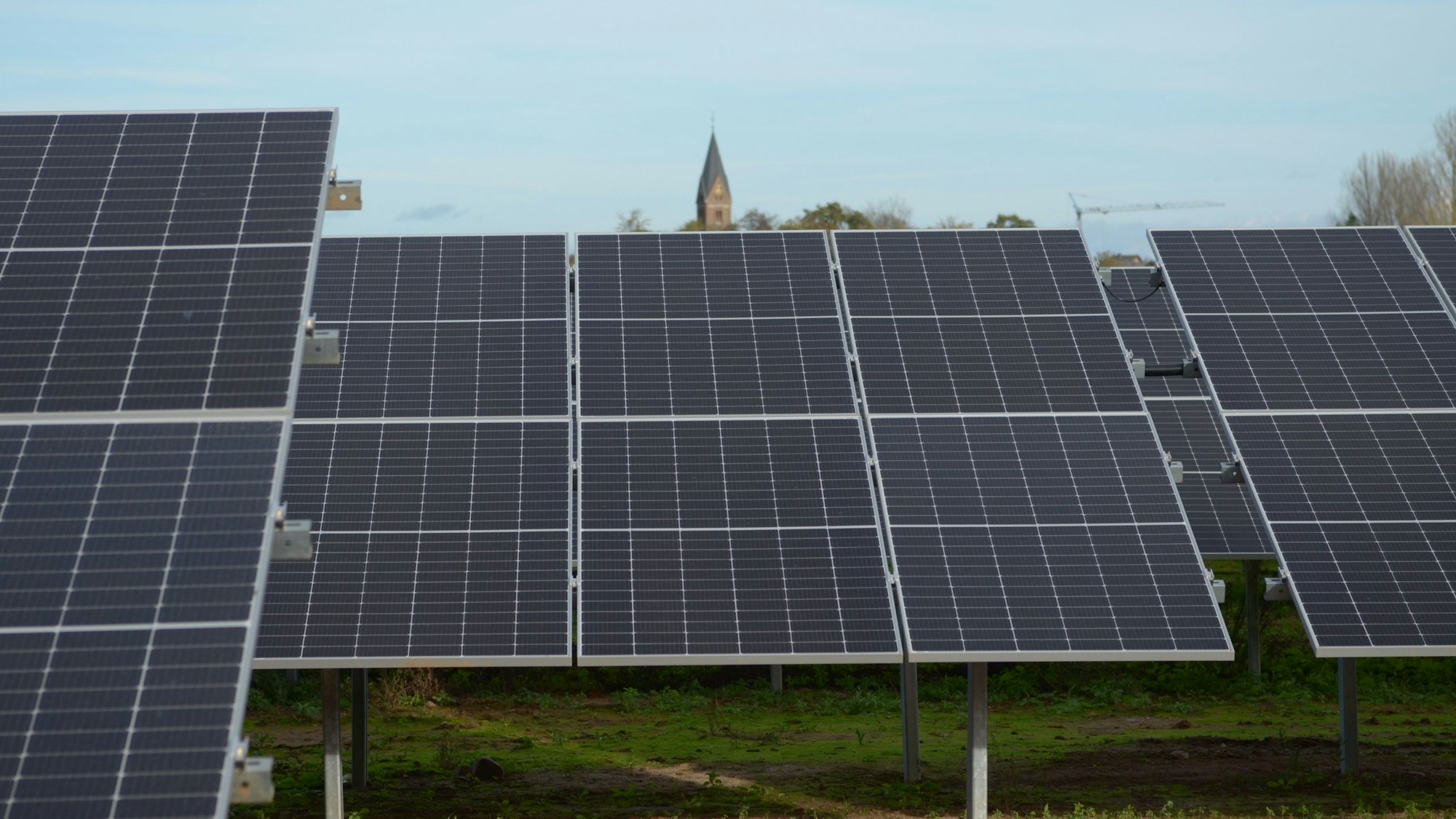 Es sind mehrere Solarpaneele zu sehen.