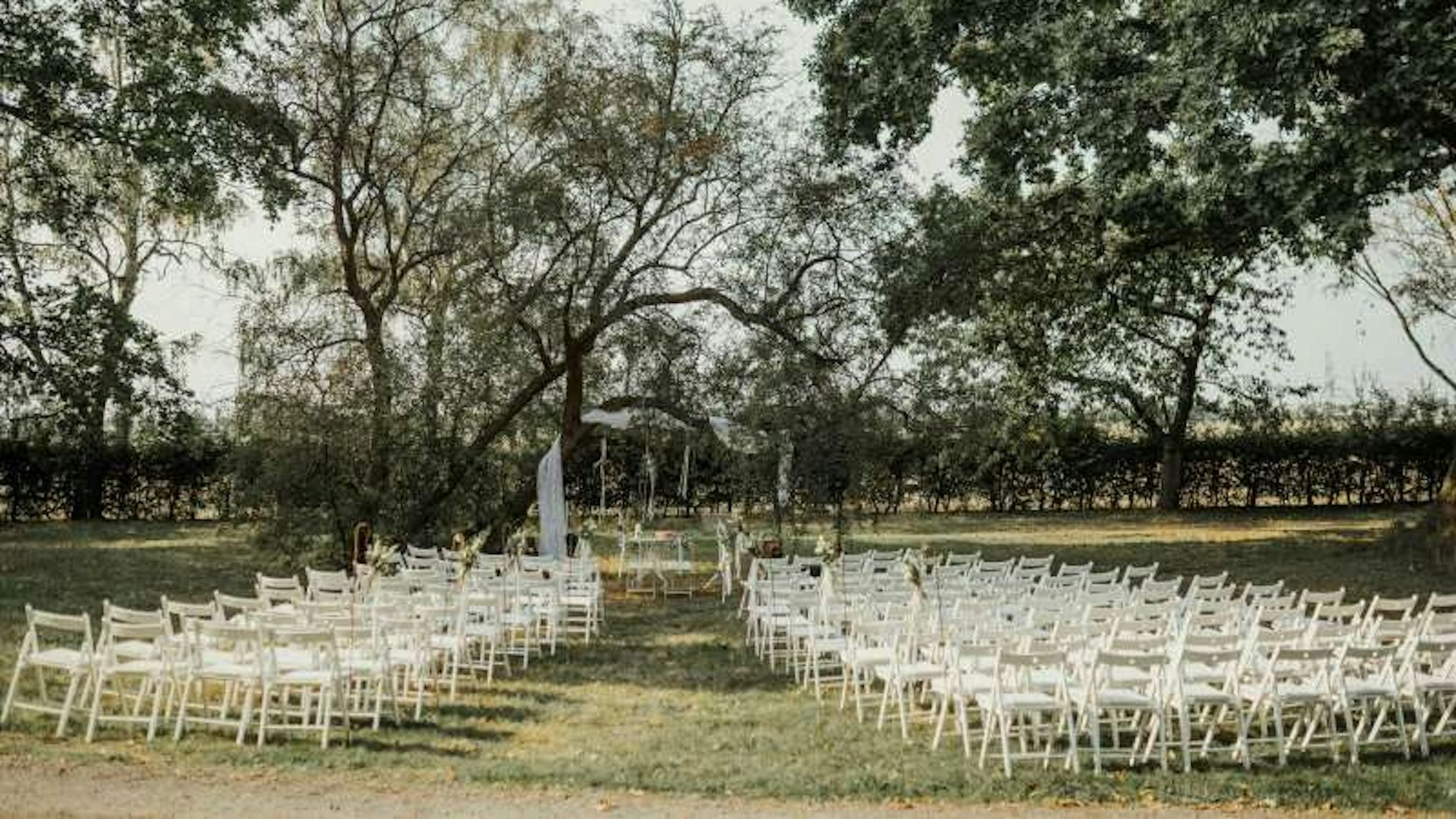 Es ist eine Wiese zu sehen auf der viele Stühle stehen, die nach vorne gerichtet sind.