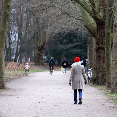Der Kölner Grüngürtel im Januar