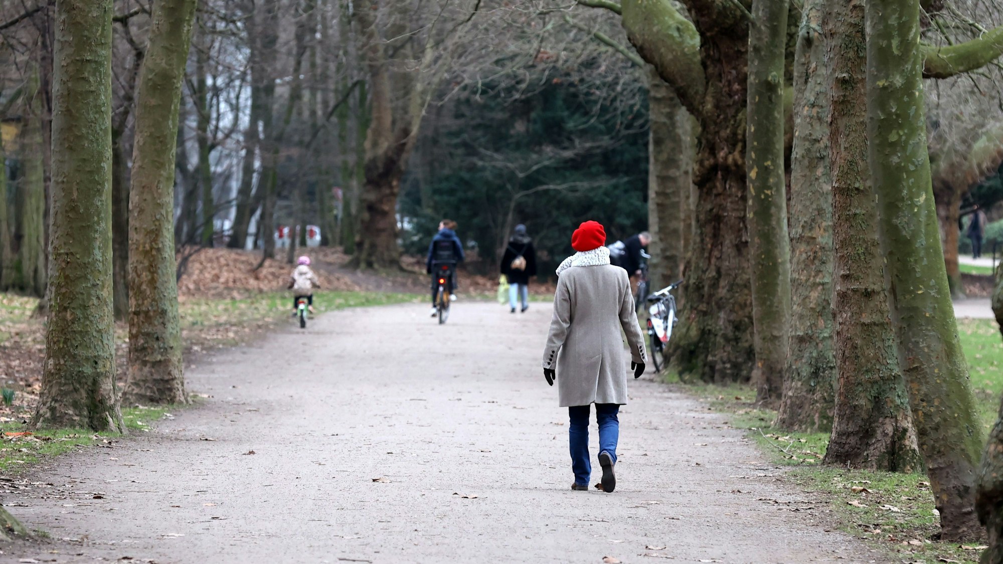 Der Kölner Grüngürtel im Januar