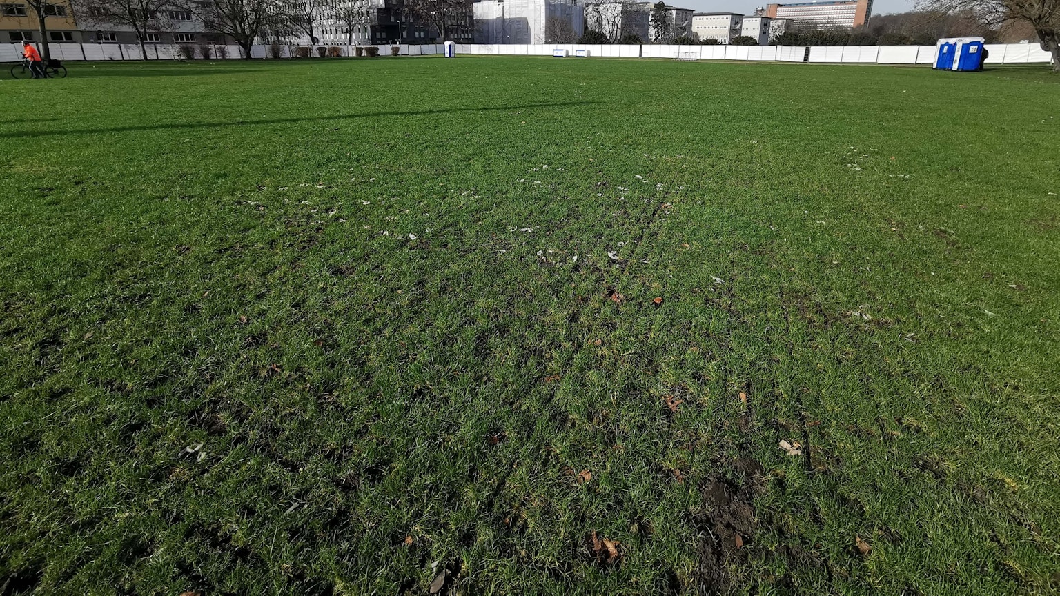 Die Uniwiese ist auch nach den Feiern an Weiberfastnacht sattgrün. Im Hintergrund sind die letzten Dixie-Klos zu sehen und die Umzäunung der Ausweichfläche.
