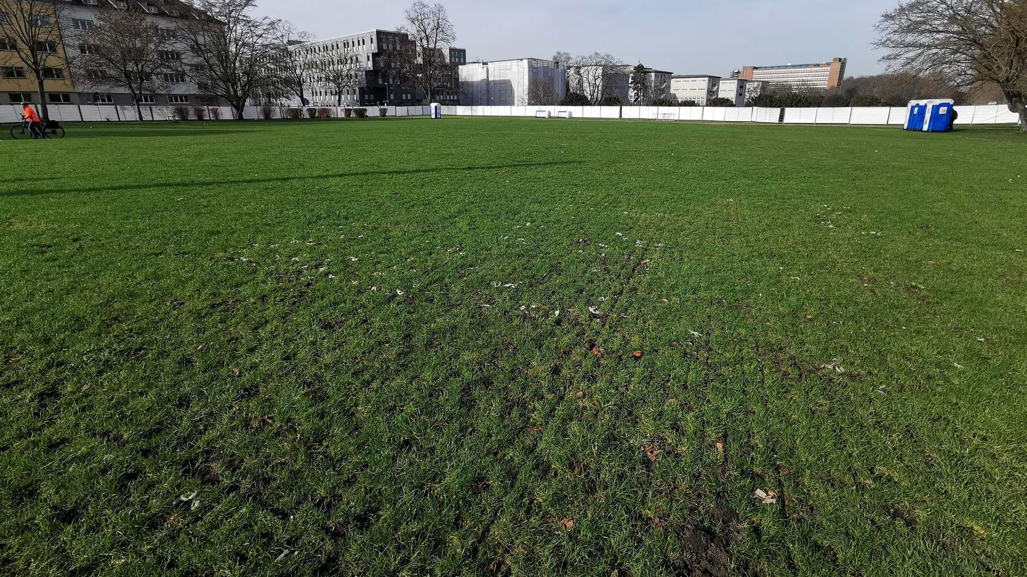 Die Uniwiese ist auch nach den Feiern an Weiberfastnacht sattgrün. Im Hintergrund sind die letzten Dixie-Klos zu sehen und die Umzäunung der Ausweichfläche.