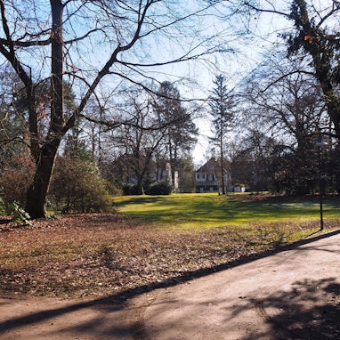Der Südpark in Köln-Marienburg ist zum Spazieren ideal.