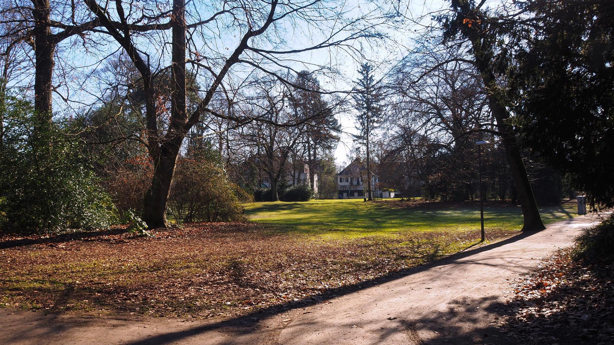 Der Südpark in Köln-Marienburg ist zum Spazieren ideal.