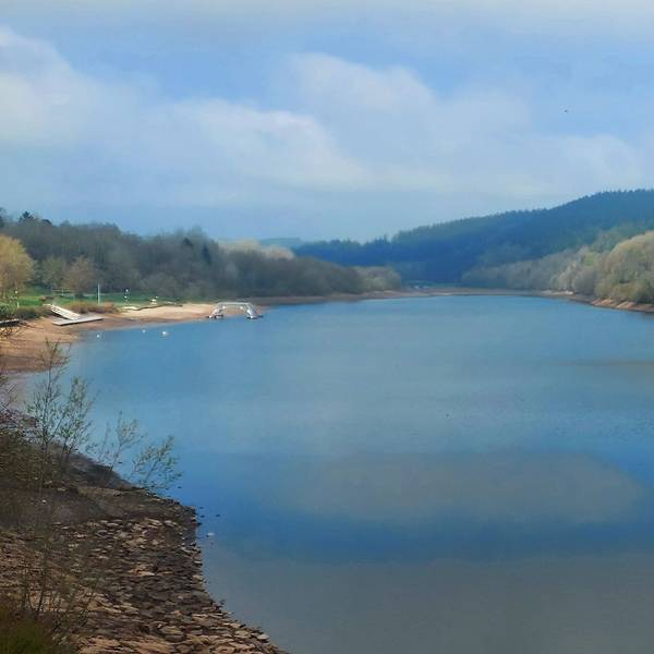 Eine Panorama-Aufnahme des Kronenburger Sees.