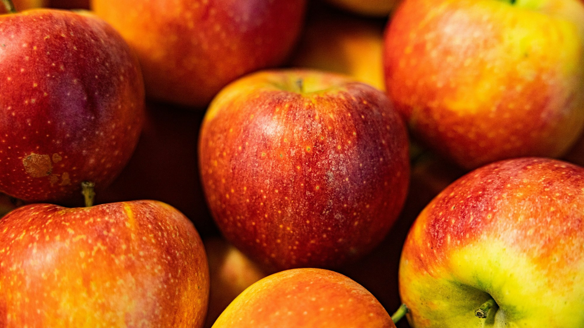 Frische Äpfel mit roten Bäckchen
