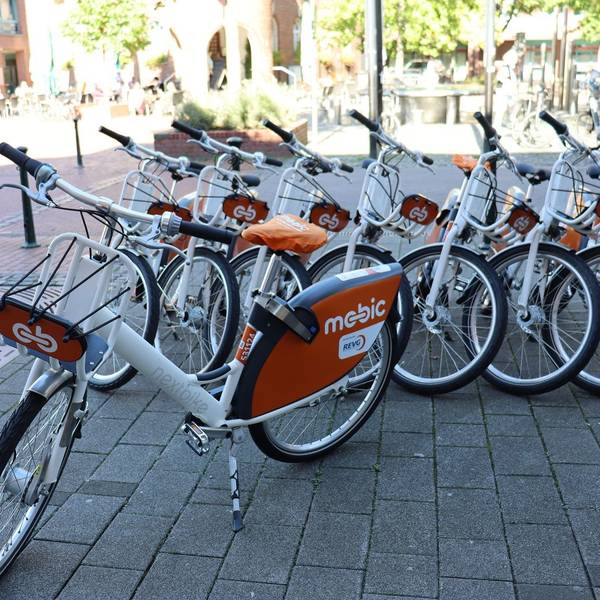 Man sieht E-Bikes, die in einer Reihe abgestellt sind.