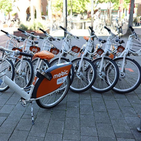 Man sieht E-Bikes, die in einer Reihe abgestellt sind.