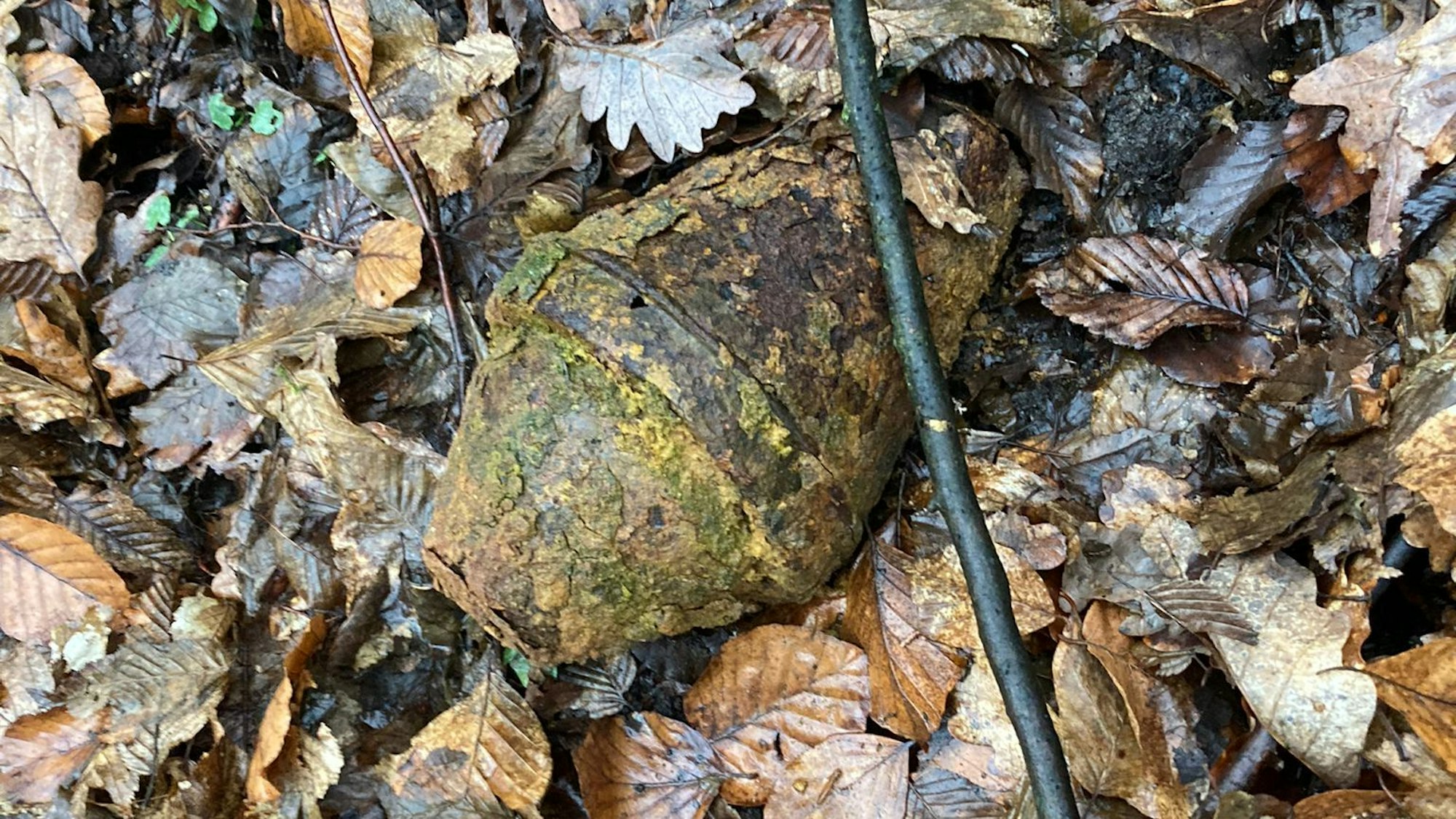 Ein rostiger Kopf einer Panzerfaust liegt im Laub auf dem Boden.