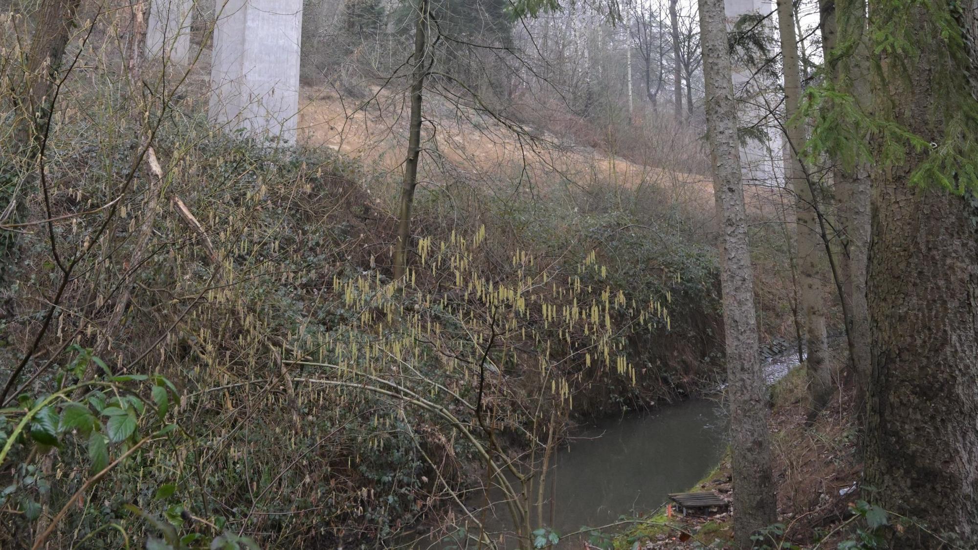 Der Overather Dresbach fließt unter einer Brücke lang.