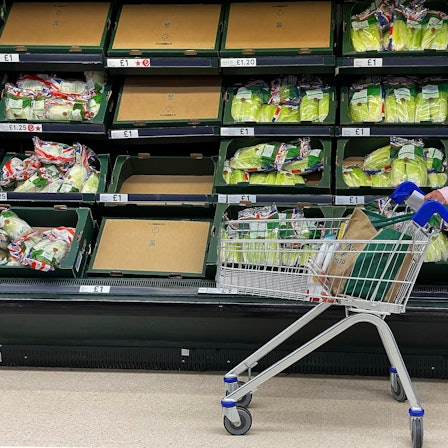 Eine Frau steht vor teilweise leeren Gemüse-Regalen in einem Supermarkt. Großbritannien muss sich nach Angaben seiner heimischen Bauern um Lebensmittel aus heimischer Produktion zunehmend Sorgen machen. (Archivbild)