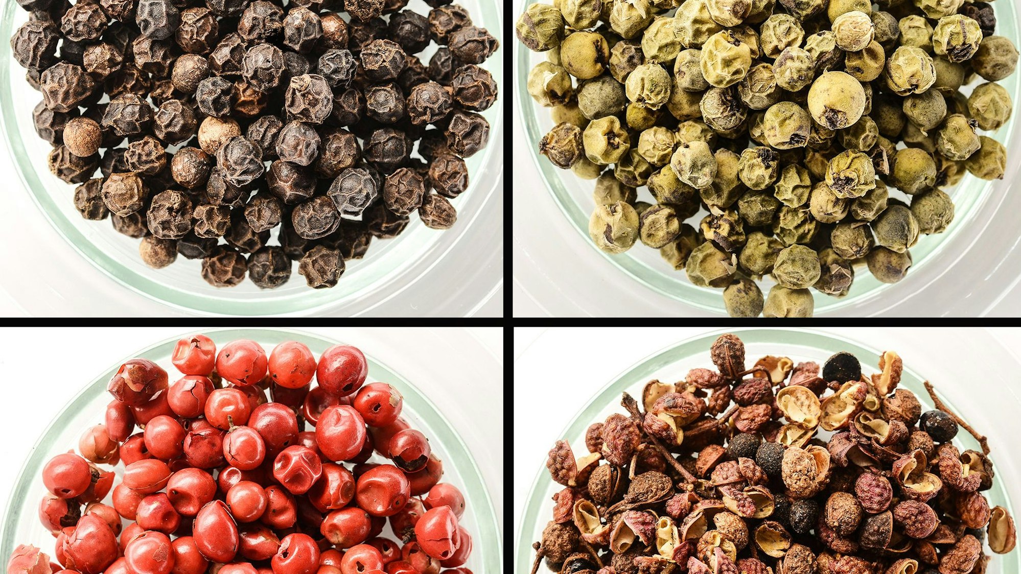 Drei echte Pfeffer und ein falscher: Schwarzer Pfeffer (l.o.-r.u.), Grüner Pfeffer, Roter Pfeffer und Szechuanpfeffer.
Fotograf: David-Wolfgang Ebener