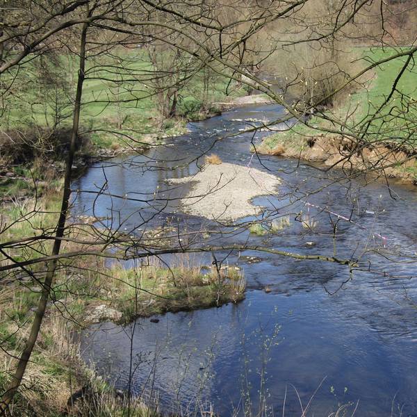 Das Wupperufer bei Wipperfürth
