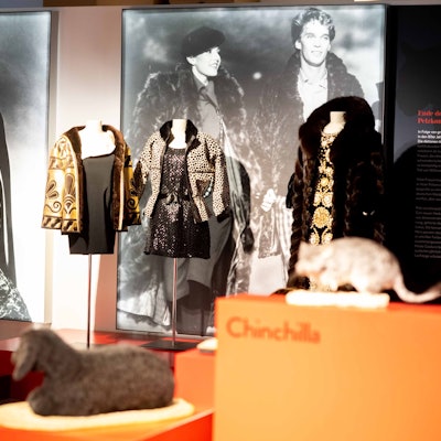 Die neue Sonderausstellung im LVR-Museum in Kuchenheim