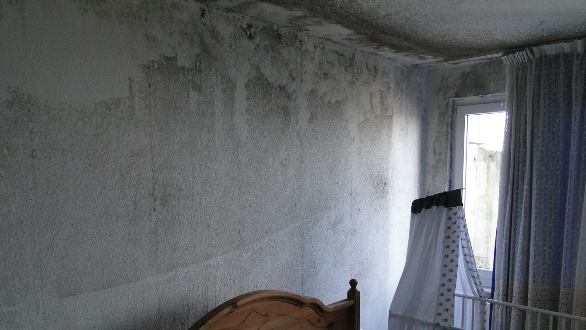 Ein Schlafzimmer, dessen Wände großflächig von schwarzem Schimmel befallen sind