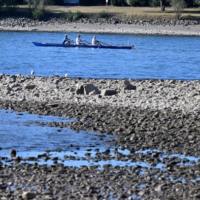 Ein Ruderboot fährt auf dem Rhein. Der Fluss führt Niedrigwasser.