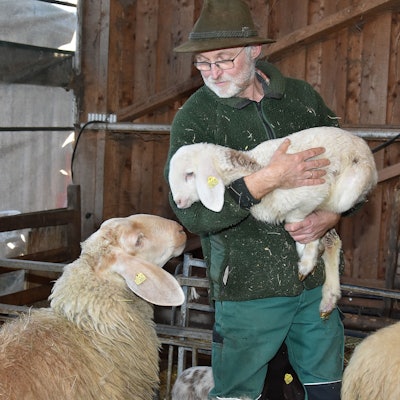 Bauer Peter Schmidt hält ein Lamm in den Armen.