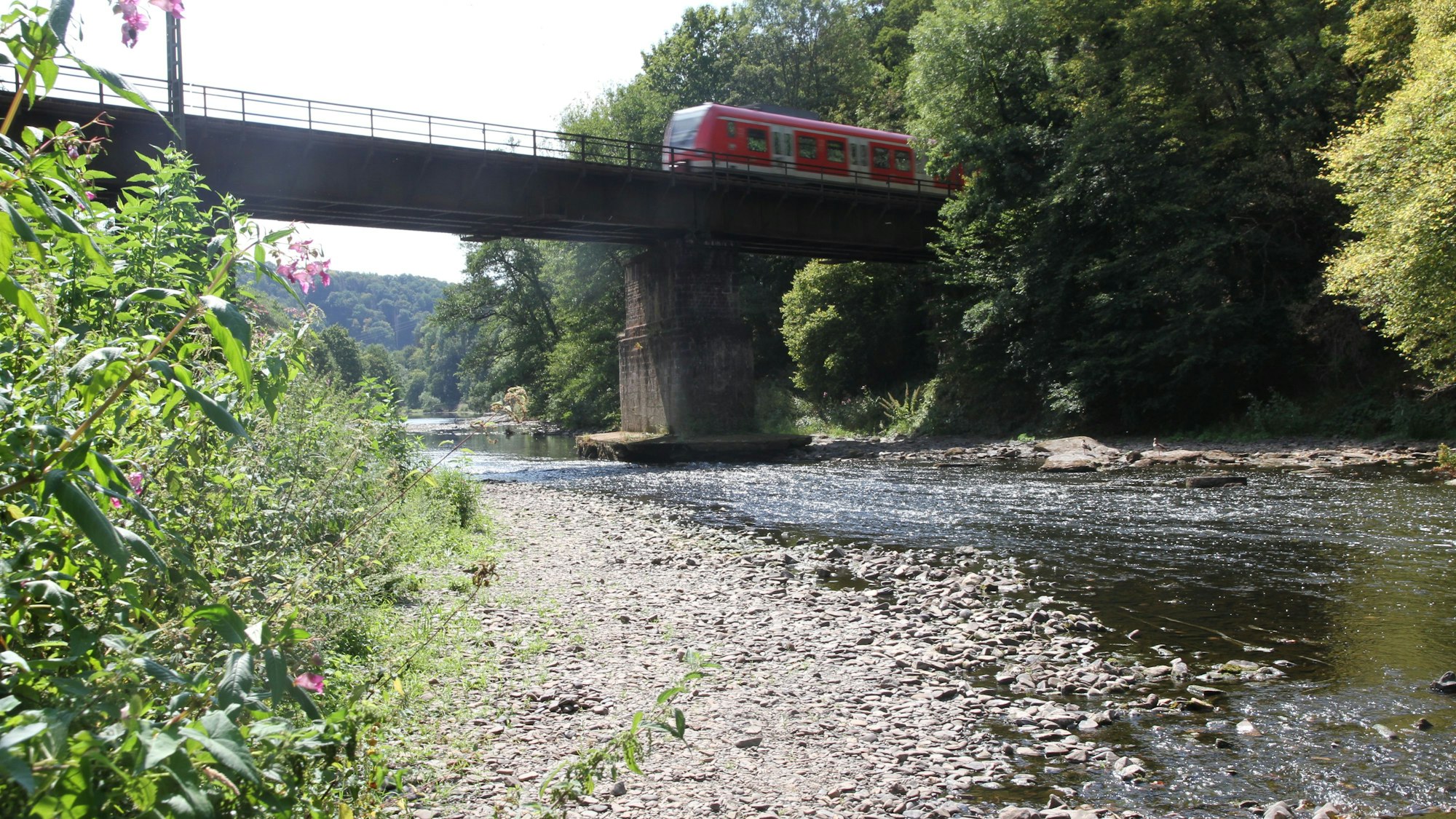 Niedrigwasser im Rhein-Sieg-Kreis, Sieg bei Happach