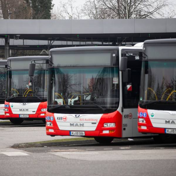 Sieben Busse stehen am Freitag auf dem Betreibshof Nord der Kölner Verkehrsbetriebe in Köln-Niehl.