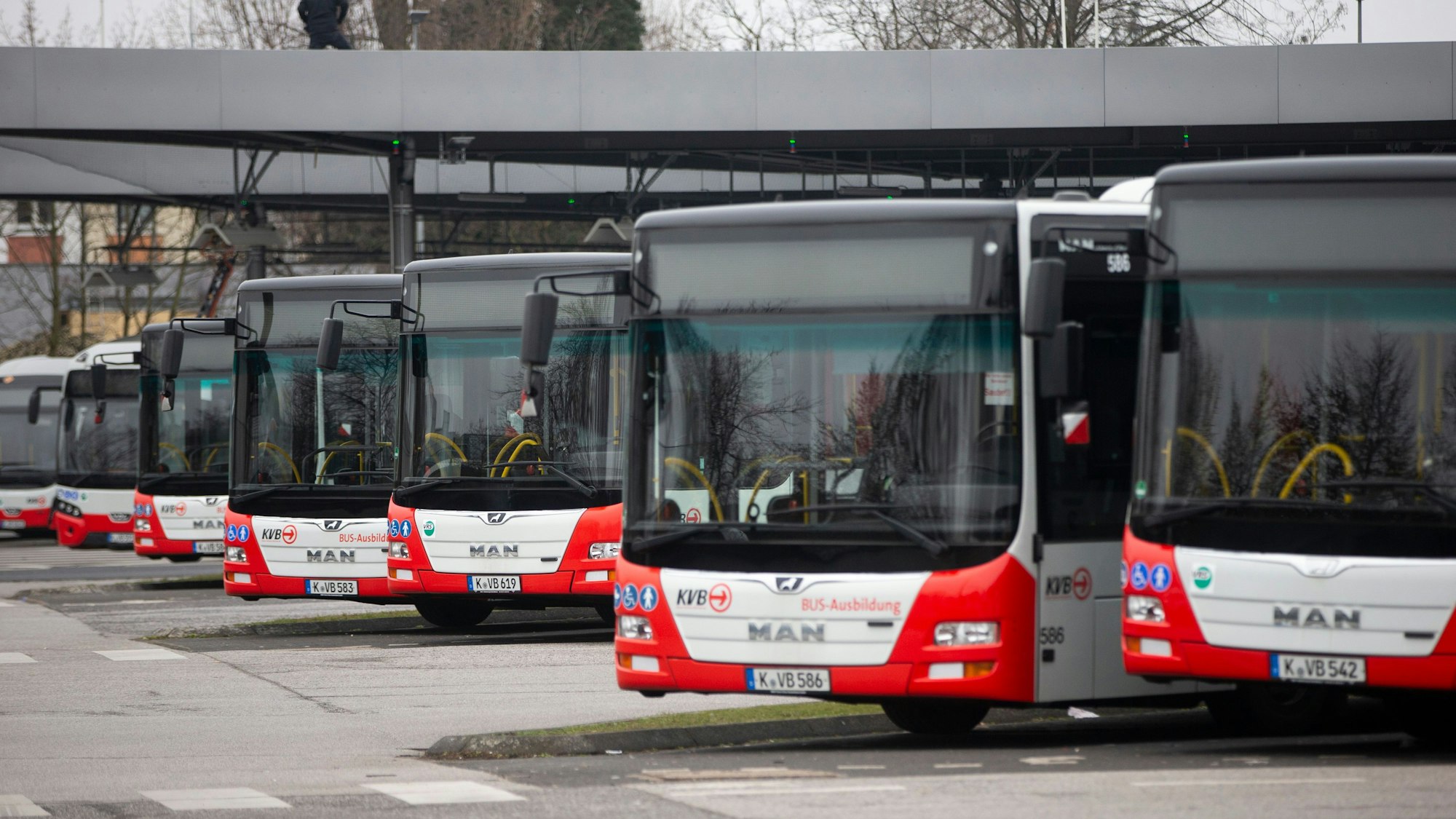 Sieben Busse stehen am Freitag auf dem Betreibshof Nord der Kölner Verkehrsbetriebe in Köln-Niehl.