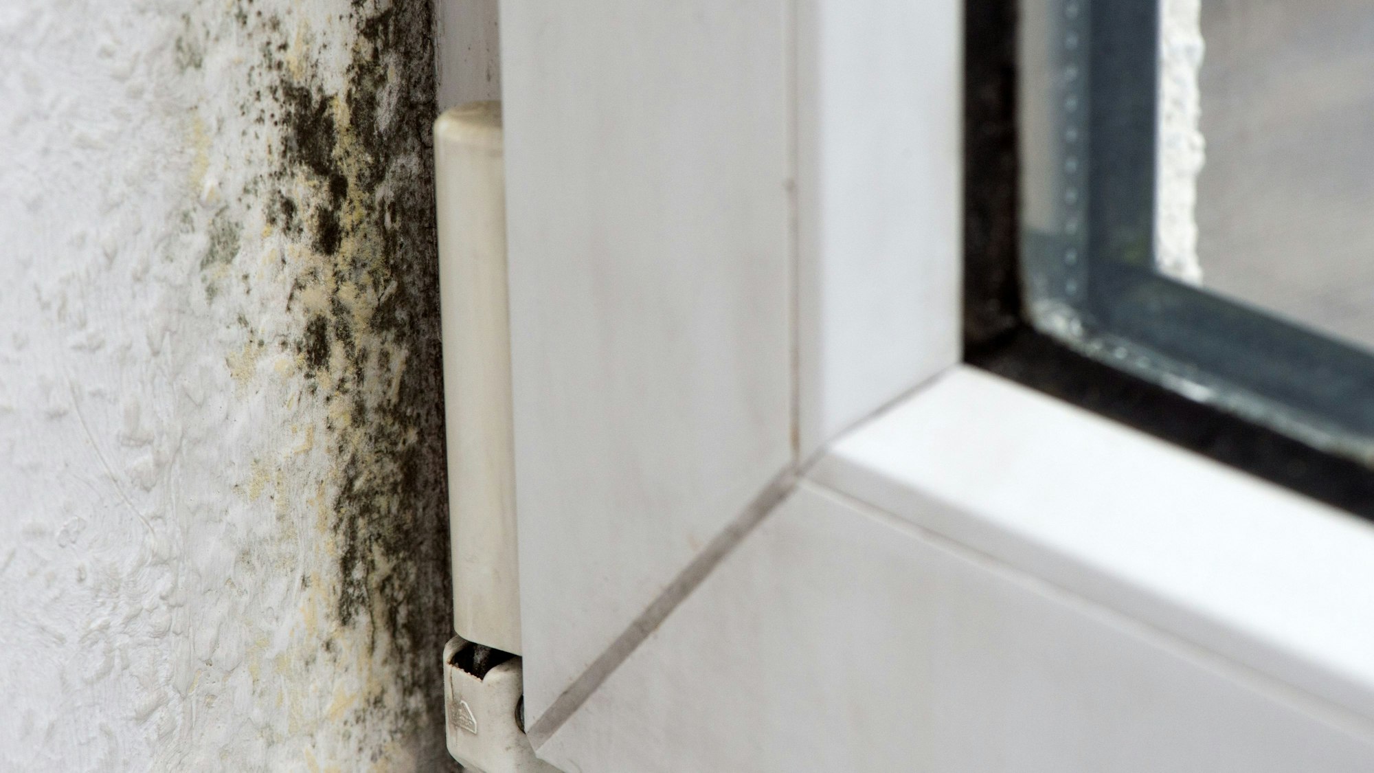 Schimmelflecken am Rand eines Fensters.