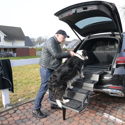 Karl-Heinz Kamlage mit Testhund Otto, der die Treppe gelassen nimmt.