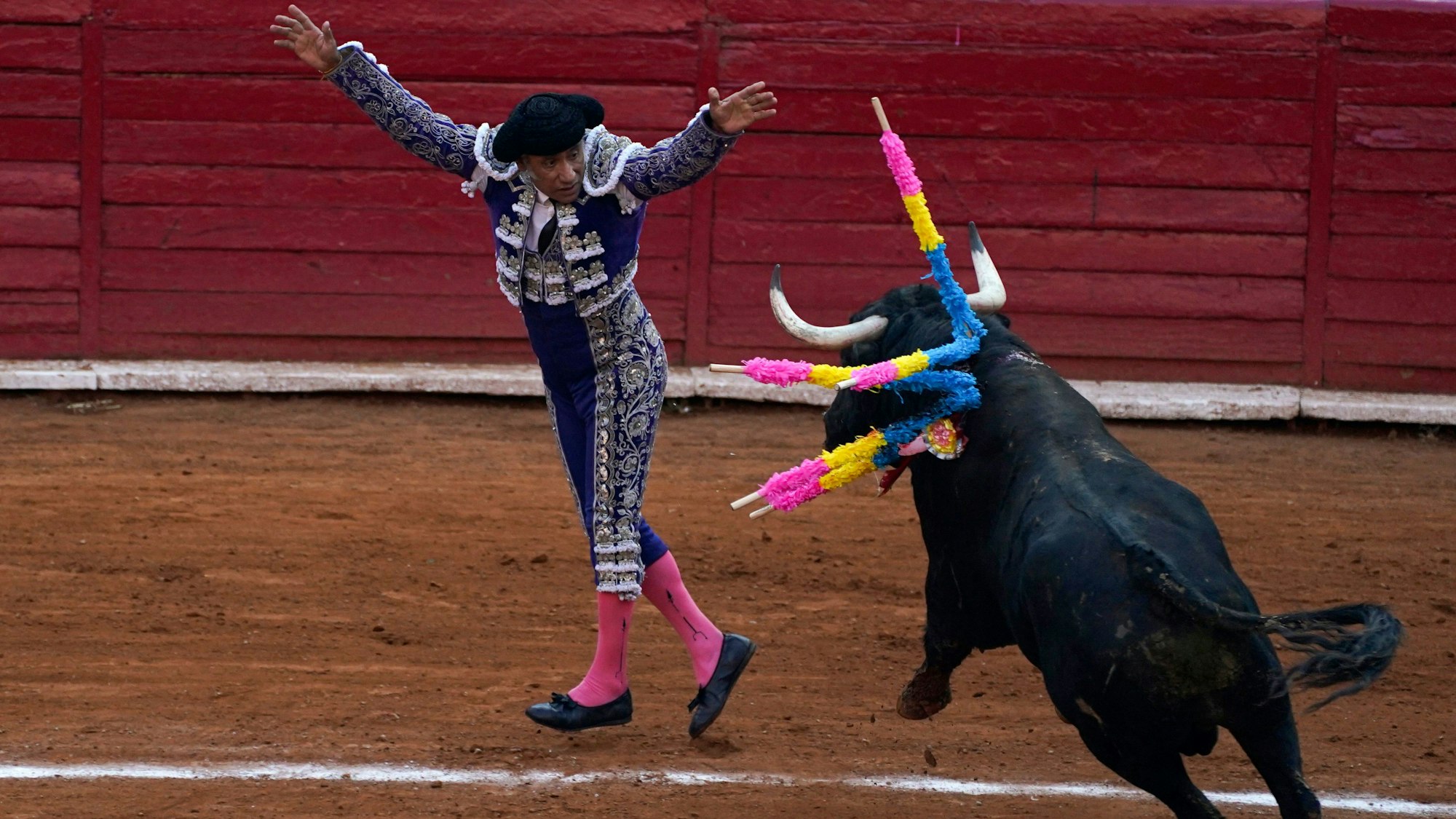 Ein „Banderillero“ nagelt während eines Stierkampfes in der Stierkampfarena Plaza de Toros Mexico in Mexiko-Stadt „Banderillas“ an einen Stier.