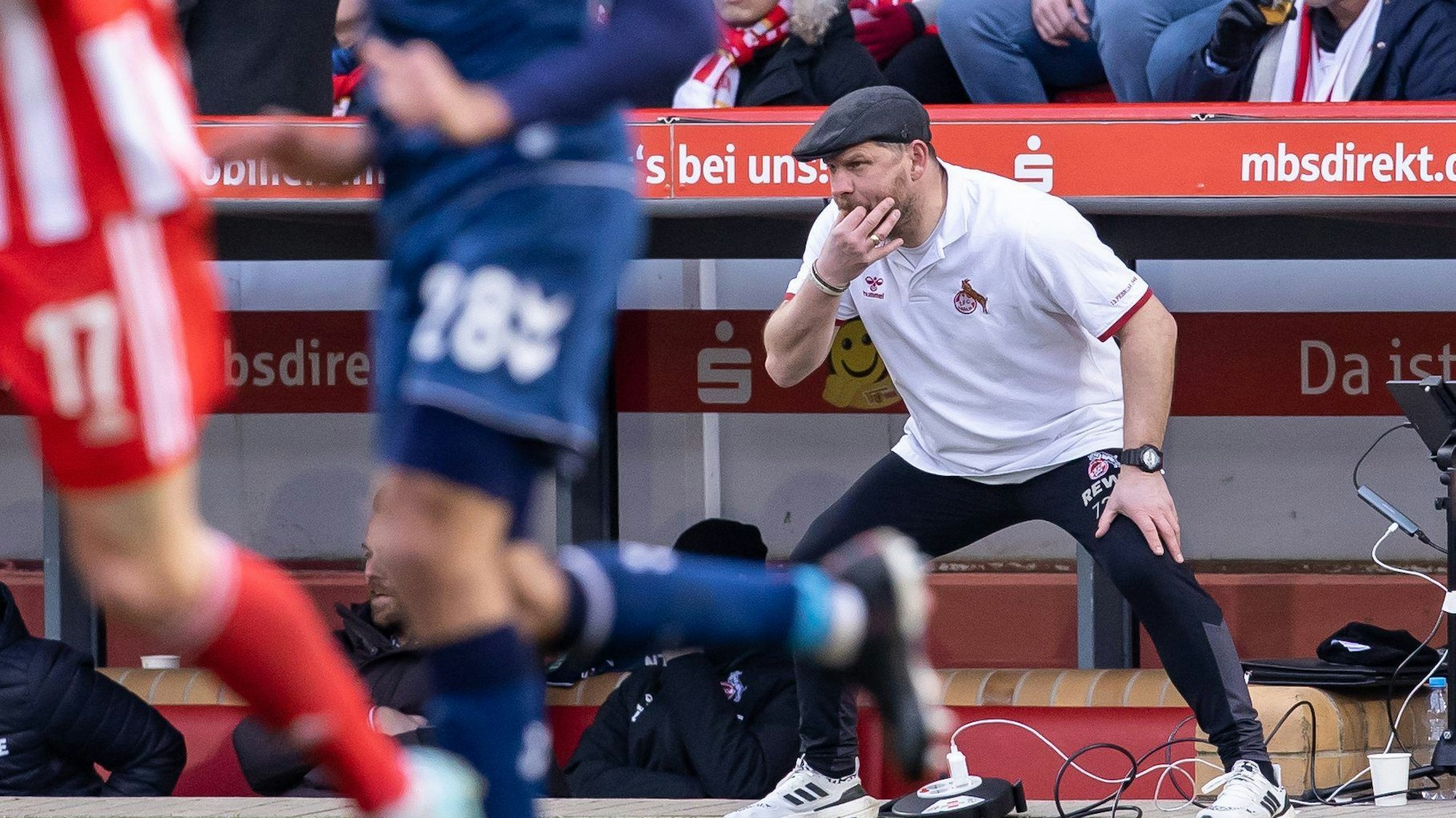 Trainer Steffen Baumgart von FC Köln pfeift seinem Team zu.