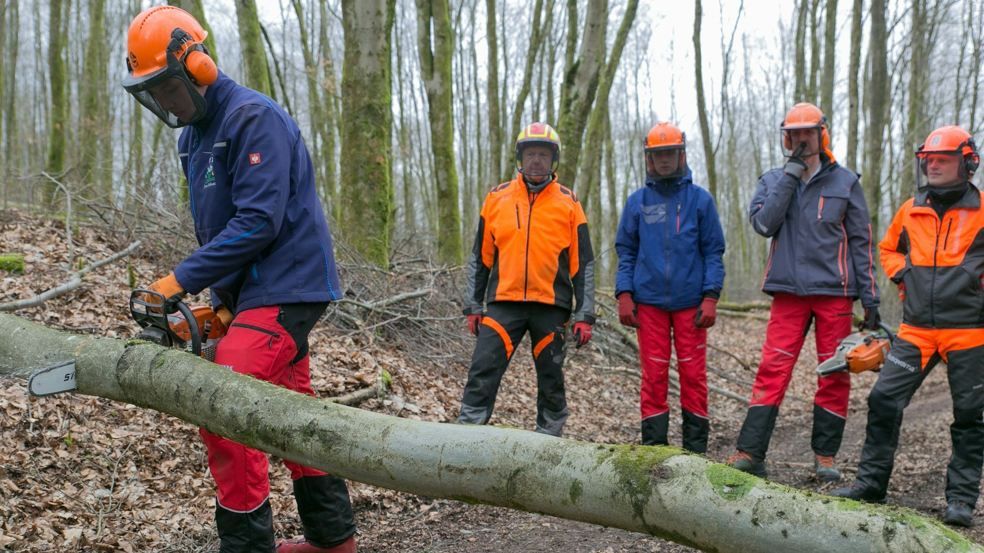 Teilnehmer des Motorsägenkurses legen im Wald bei Reichshof-Obersteimel Hand an.
