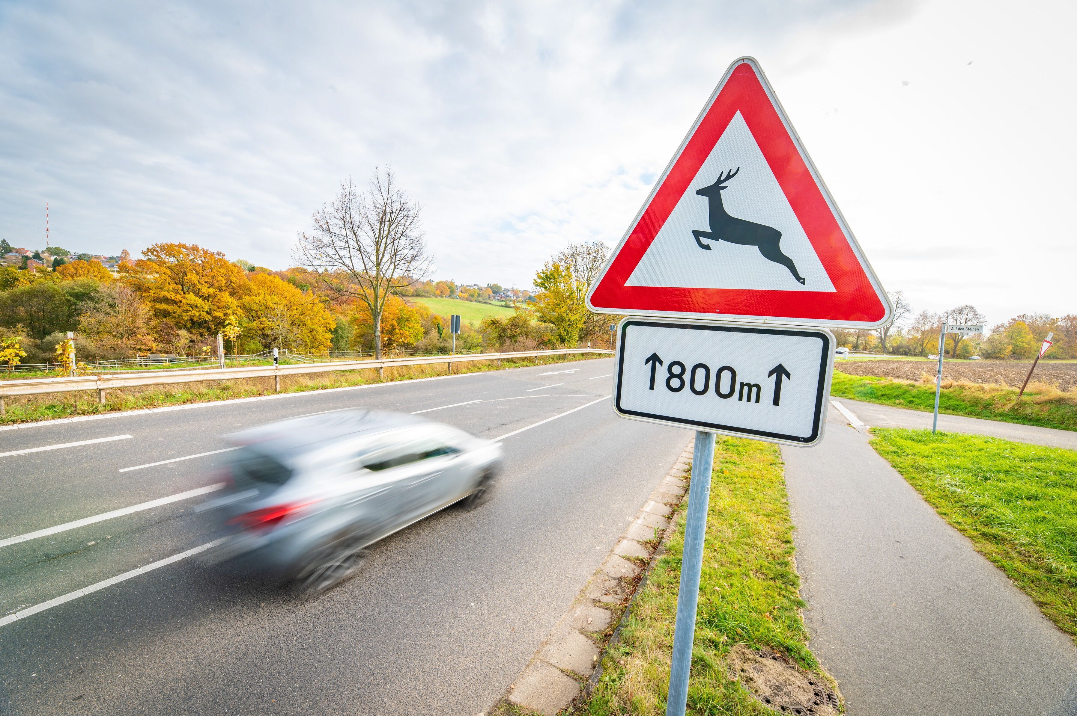 Auf dem Foto sind ein Verkehrsschild, das vor Wildwechseln warnt, und ein vorbeifahrendes Auto zu sehen.