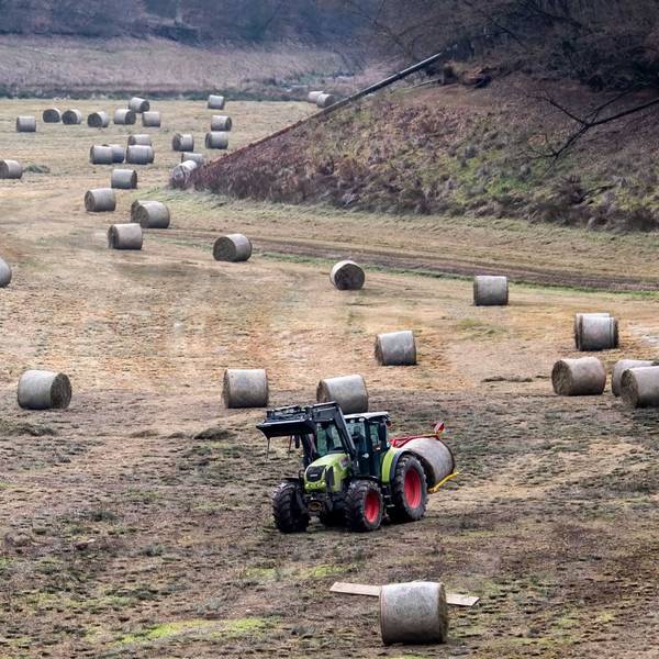 In der Steinbachtalsperre tätigt ein Landwirt im Auftrag der e-regio Mäharbeiten.