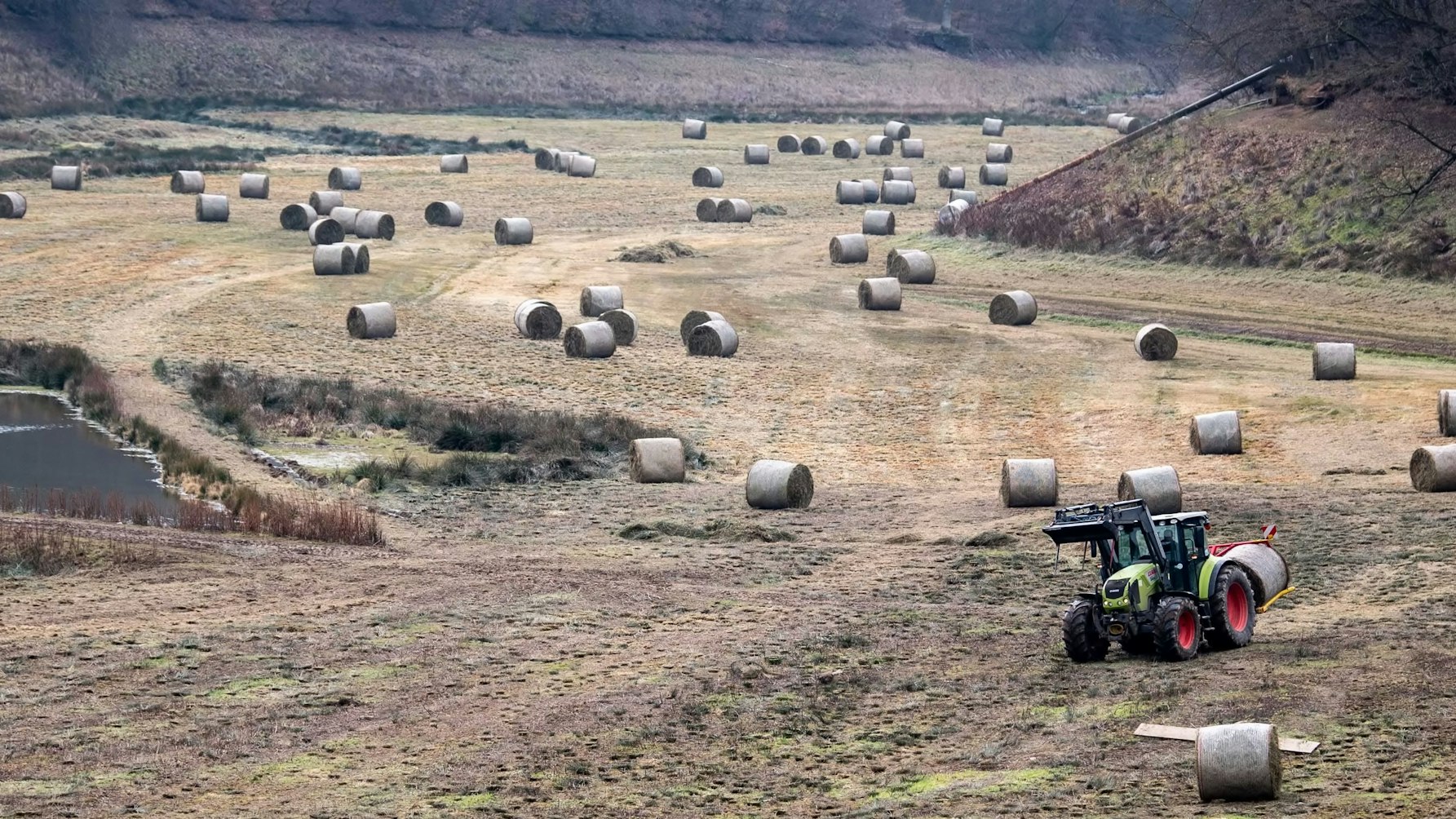 In der Steinbachtalsperre tätigt ein Landwirt im Auftrag der e-regio Mäharbeiten.