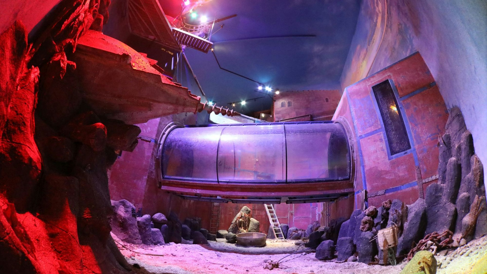 Das ehemalige Ozeanbecken im Sealife.