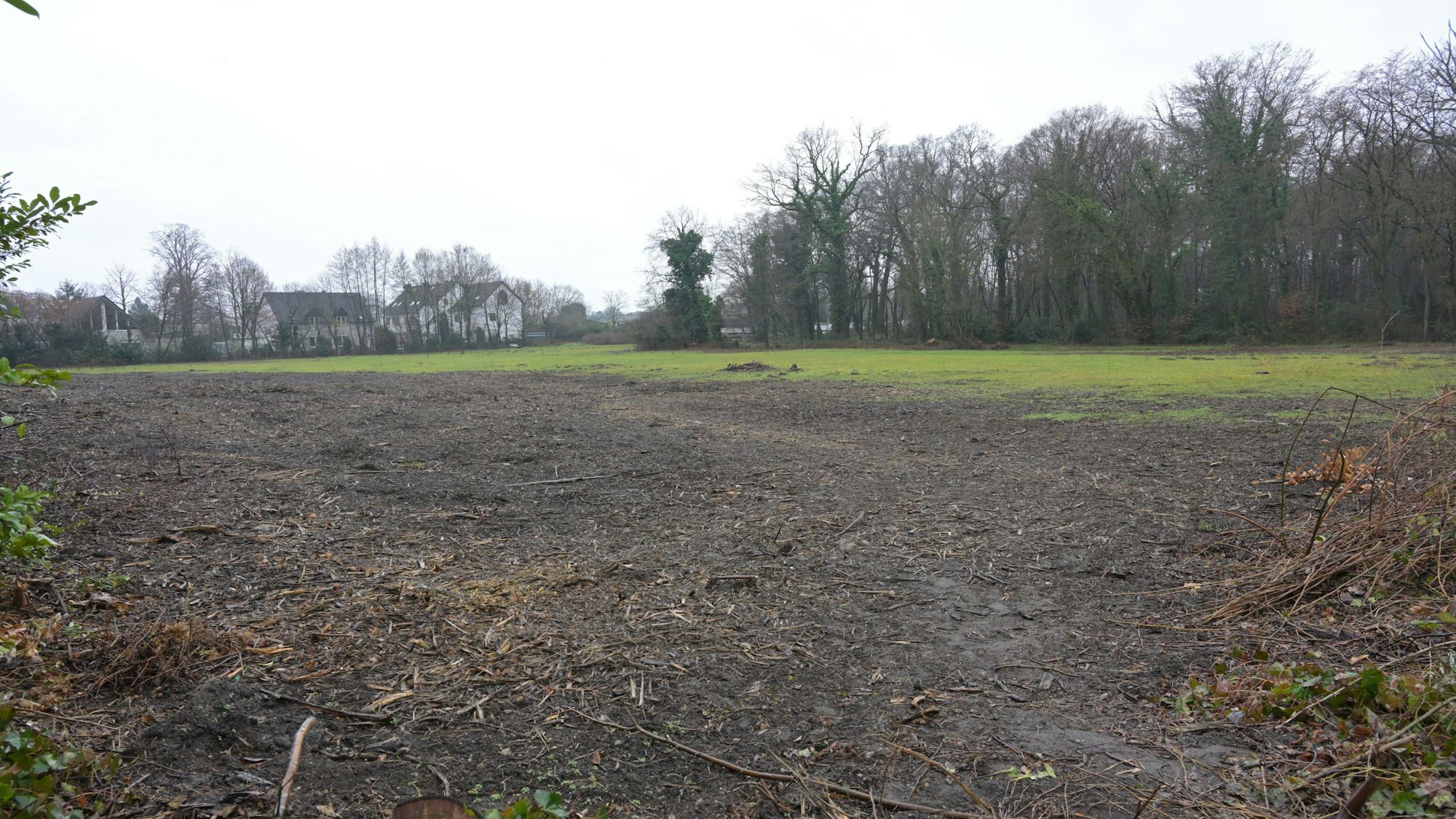 Eine ehemalige Pferdekoppel.