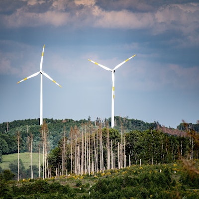 Zwei Windräder stehen in einem Waldstück.