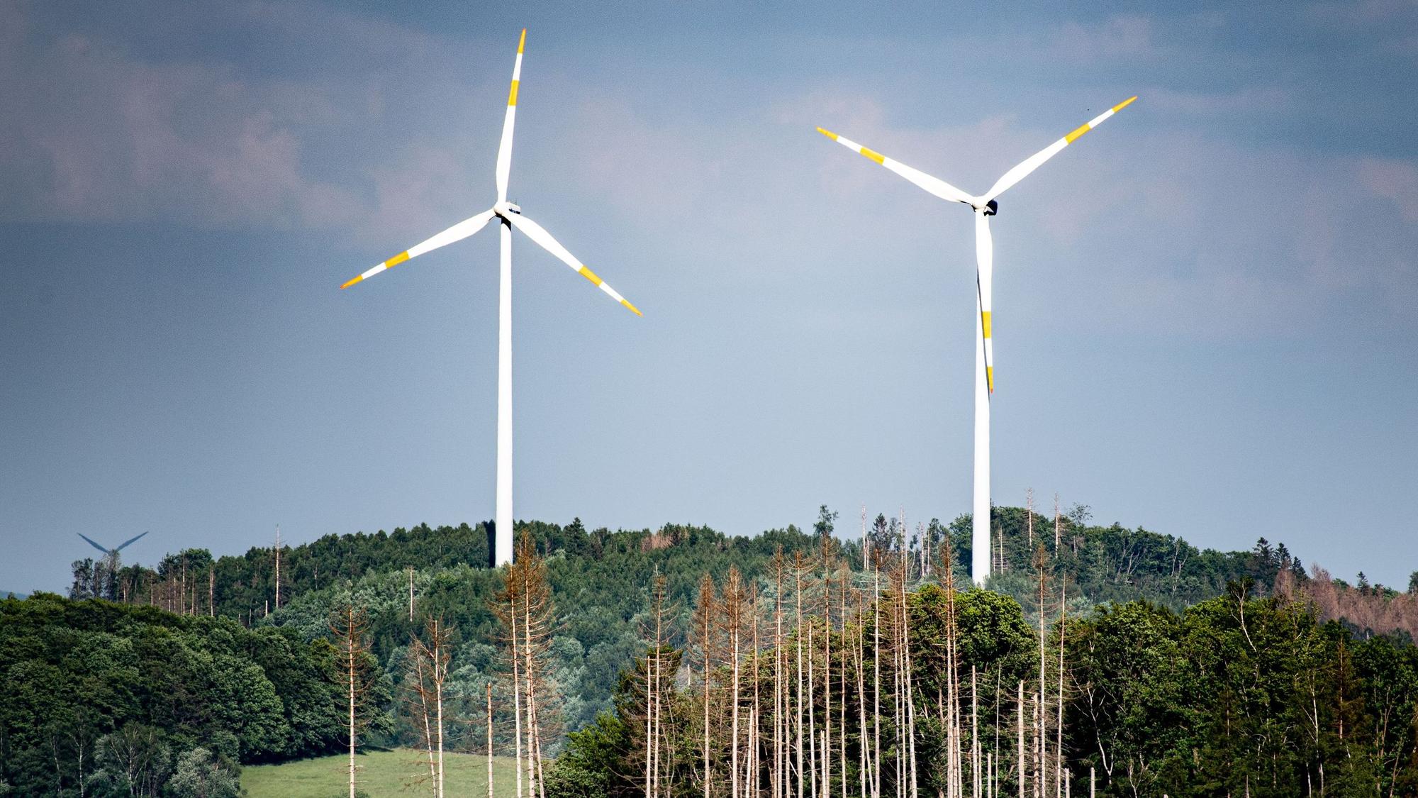 Zwei Windräder stehen in einem Waldstück.