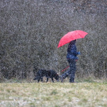Eine Frau läuft mit ihrem Hund im Schneetreiben spazieren.