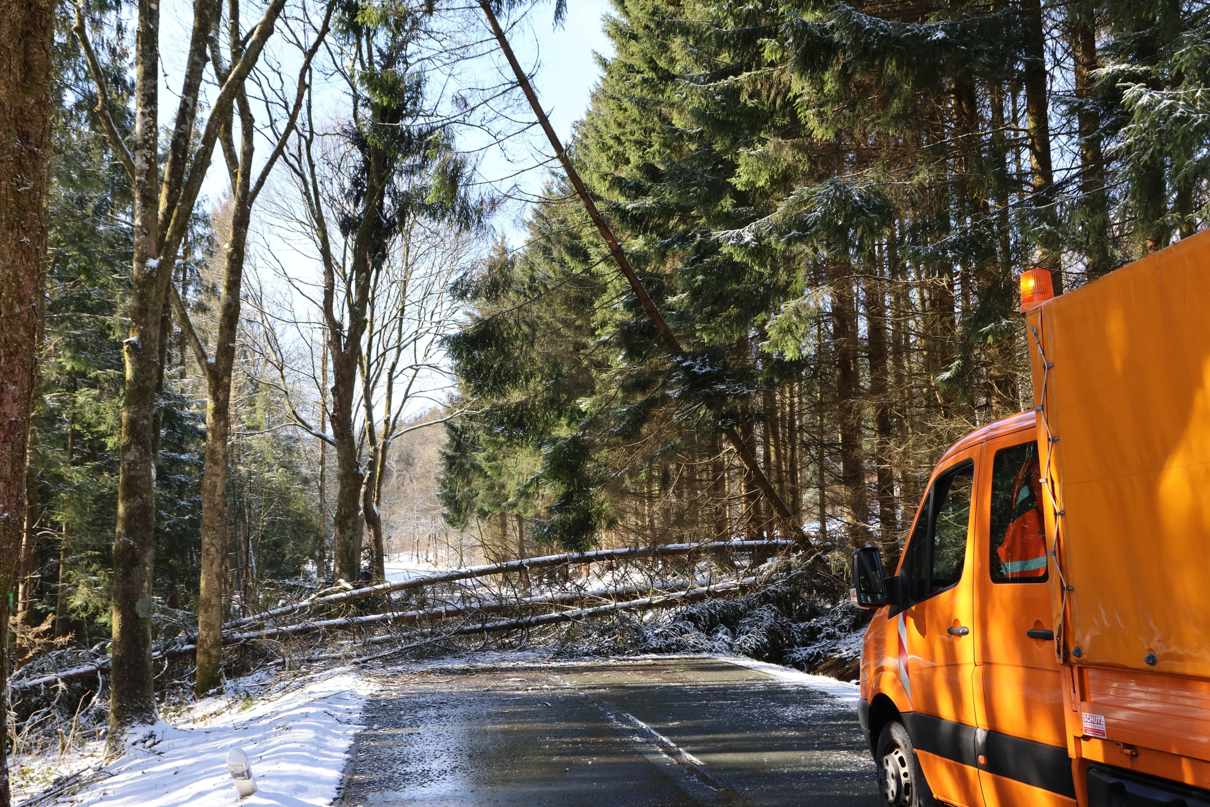 Umgestürzte Bäume auf der Landesstraße 351
