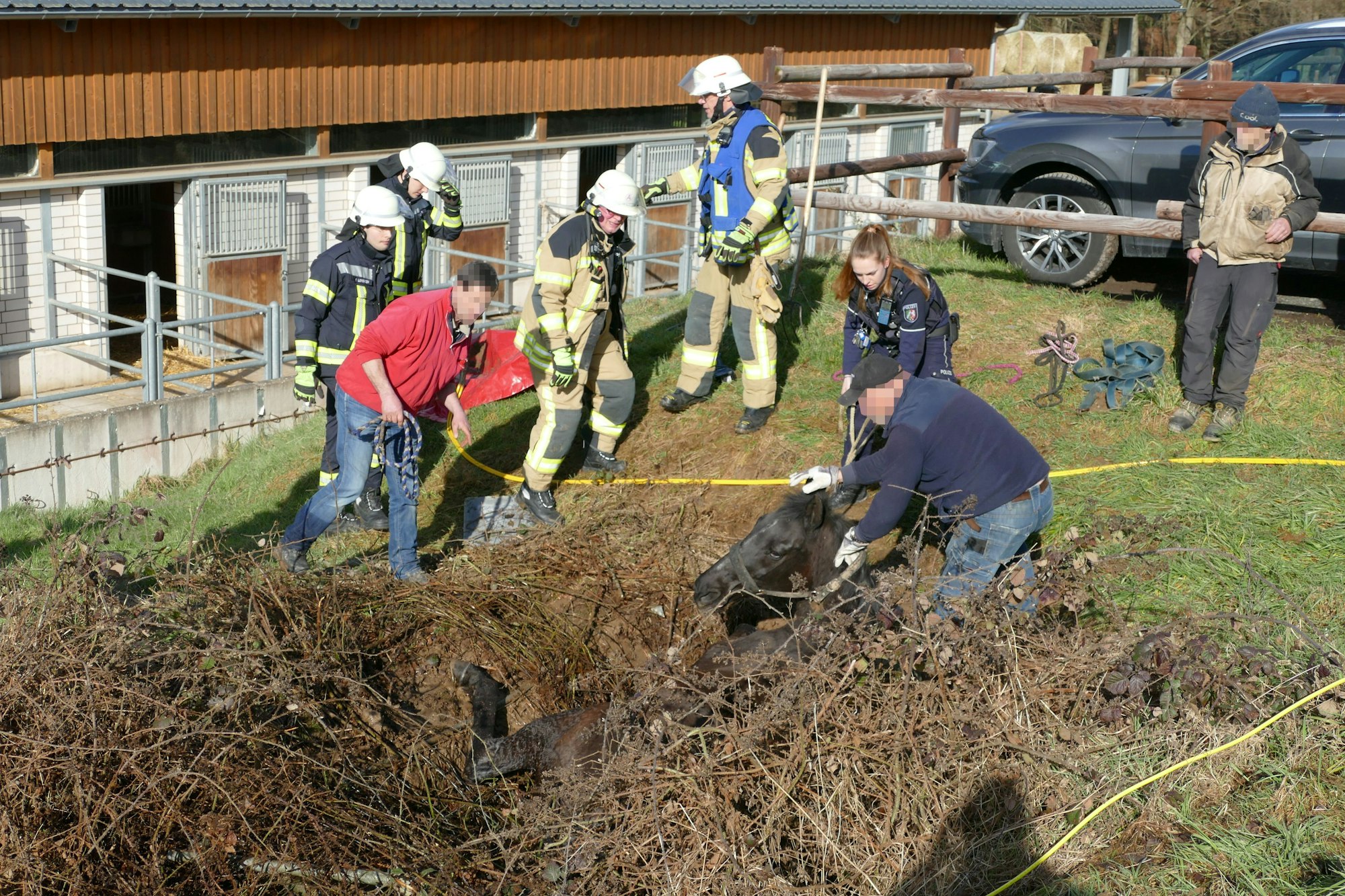 Die Feuerwehr Lohmar befreit ein Pferd aus einem Wassergraben.