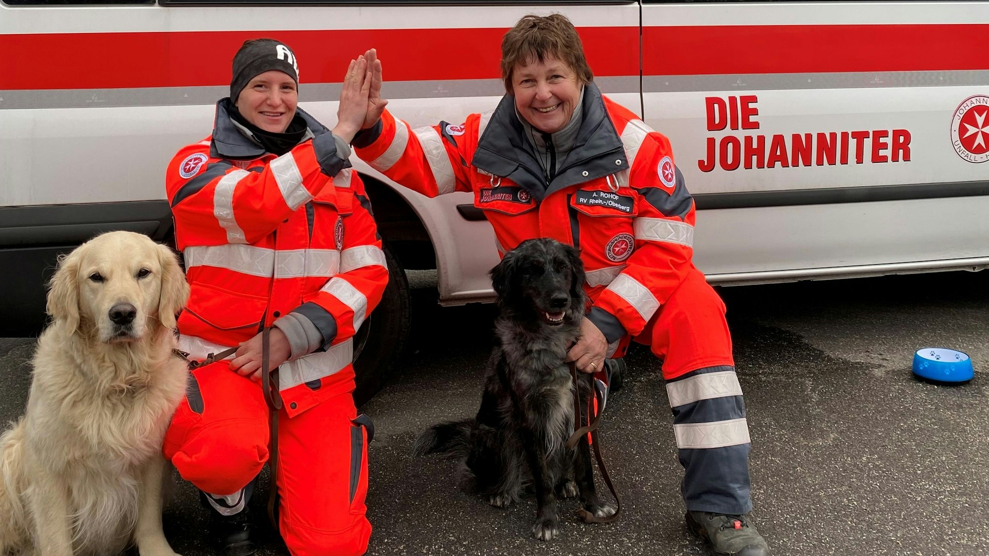 Golden Retriever Rüden Sam und Jana Conrad sowie der Australian Shepard Hündin Cassy und Besitzerin Andrea Rohof.