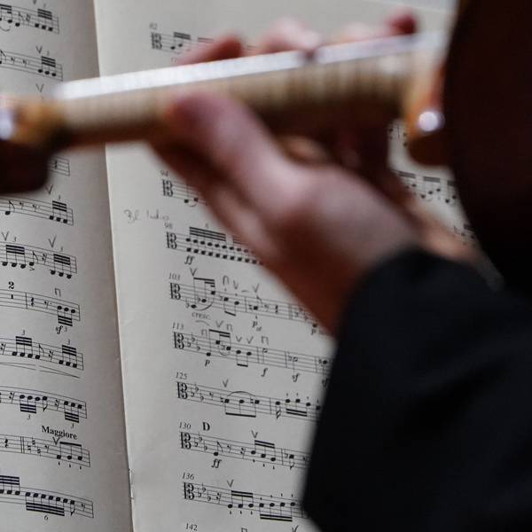 Ein Orchester-Musiker spielt und blickt auf seine Noten.