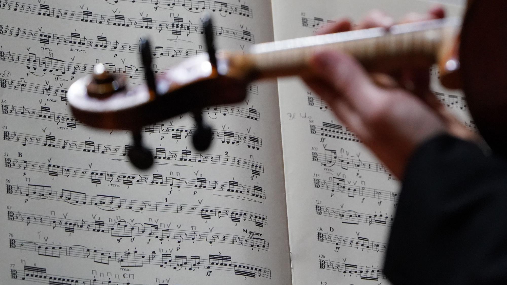 Ein Orchester-Musiker spielt und blickt auf seine Noten.