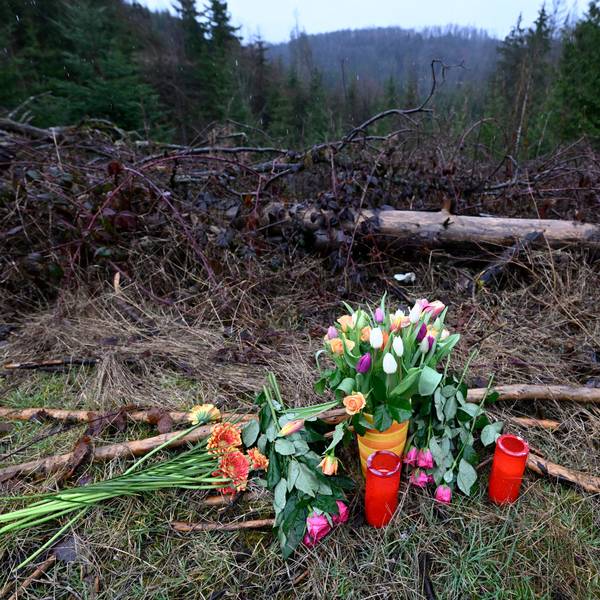 14.03.2023, Nordrhein-Westfalen, Freudenberg: Blumen und Kerzen wurden am Fundort des getöteten Mädchens Luise niedergelegt. Bei der Obduktion der Leiche sind zahlreiche Messerstiche festgestellt worden. Das zwölfjährige Mädchen war am Sonntag tot in der Nähe eines Radweges auf rheinland-pfälzischem Gebiet unmittelbar an der Landesgrenze zu Nordrhein-Westfalen gefunden worden. Das Kind war am Samstag als vermisst gemeldet worden. Foto: Roberto Pfeil/dpa +++ dpa-Bildfunk +++
