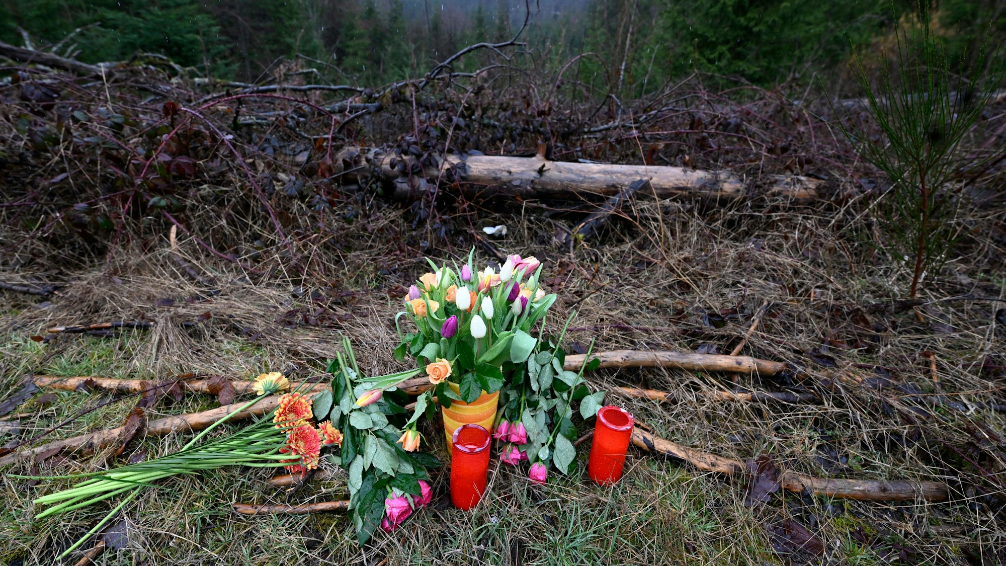 14.03.2023, Nordrhein-Westfalen, Freudenberg: Blumen und Kerzen wurden am Fundort des getöteten Mädchens Luise niedergelegt. Bei der Obduktion der Leiche sind zahlreiche Messerstiche festgestellt worden. Das zwölfjährige Mädchen war am Sonntag tot in der Nähe eines Radweges auf rheinland-pfälzischem Gebiet unmittelbar an der Landesgrenze zu Nordrhein-Westfalen gefunden worden. Das Kind war am Samstag als vermisst gemeldet worden. Foto: Roberto Pfeil/dpa +++ dpa-Bildfunk +++