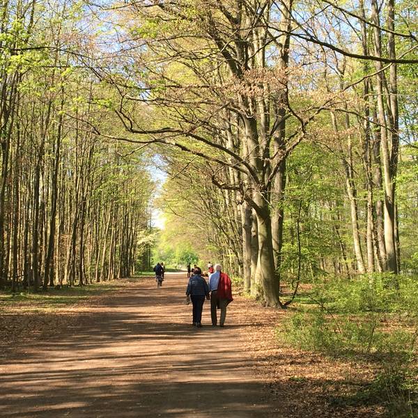 Spaziergänger in einem Wald