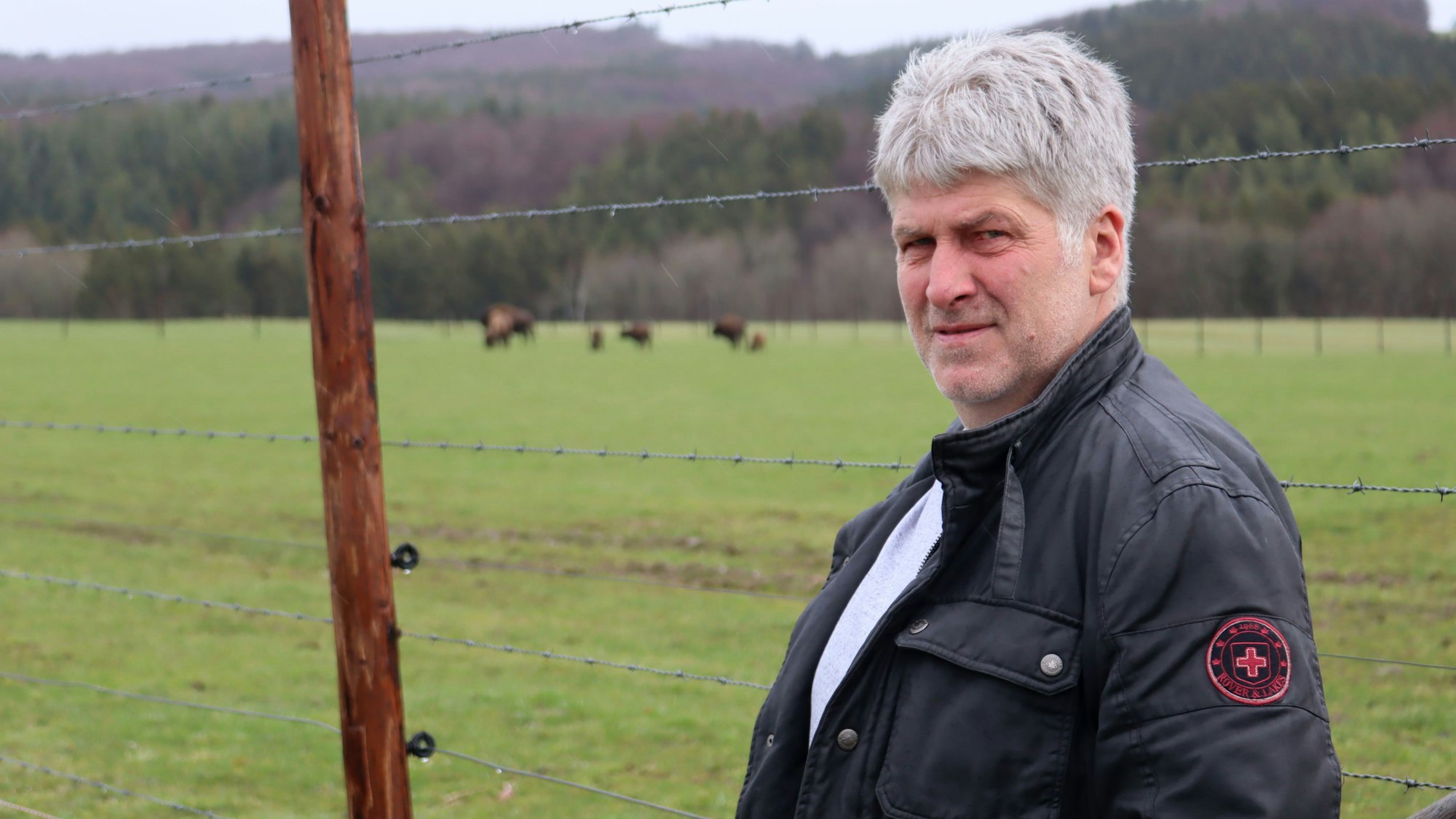 Bisonzüchter Matthias Linden aus Esch steht vor seiner Bison-Herde auf der Wiese.