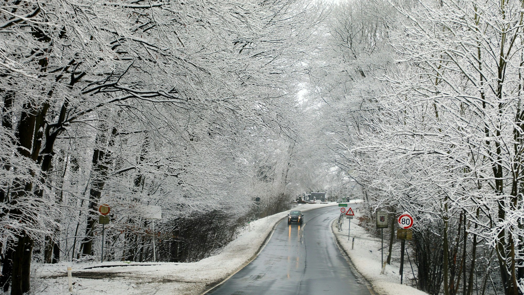 Ein Auto fährt über eine nasse Straße unter schneebedeckten Bäumen hindurch.